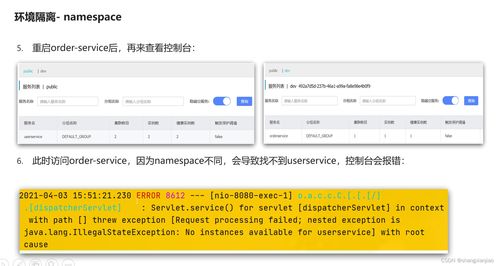 Nacos总结（一） 互联网域名注册服务详解
