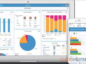 连接世界的基石 全球最受欢迎的24款云应用与互联网域名注册服务深度解析