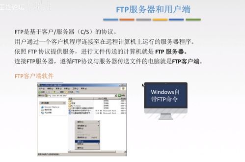 应用层 网络应用的基石与核心协议
